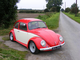 Beetle 003.jpg